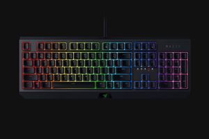 Bàn phím cơ Razer Blackwidow RZ03-02860100-R3M1