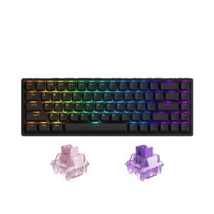 Bàn phím - Keyboard Akko 3068 v2 RGB