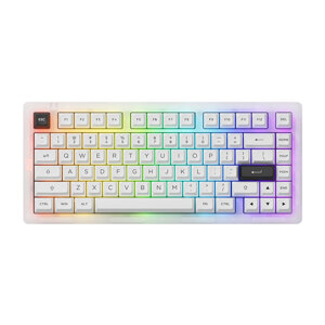 Bàn phím - Keyboard Akko ACR Pro 75