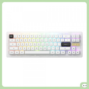 Bàn phím - Keyboard Akko ACR Pro 68