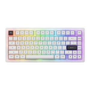 Bàn phím - Keyboard Akko ACR Pro 75