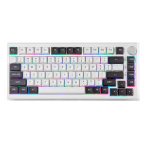 Bàn phím - Keyboard Fuhlen H75S