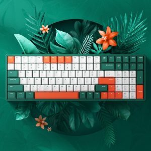 Bàn phím - Keyboard IQunix F96 Jungle Mystery