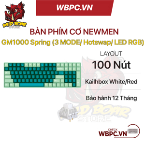 Bàn phím - Keyboard không dây Newmen GM1000