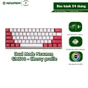 Bàn phím - Keyboard Newmen GM610Dy