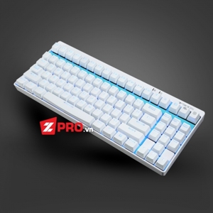 Bàn phím Rapoo Vpro V500S