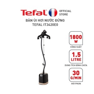 Bàn ủi hơi nước Tefal IT3420E0