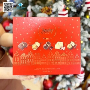 Bánh Desobry Luxury Belgian Biscuitier hộp thiếc 420g