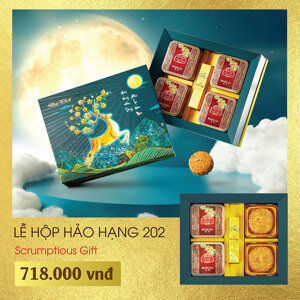 Bánh trung thu Đại Phát Lễ hộp hảo hạng 202