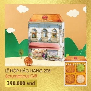 Bánh trung thu Đại Phát Lễ Hộp Hảo Hạng 205