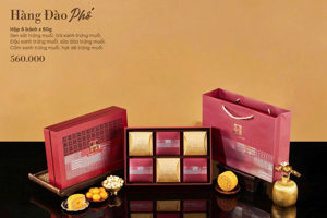 Bánh trung thu Madam Hương - Hàng Đào Phố (hộp 4 bánh x 150gr)