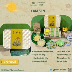Bánh trung thu Madame Hương 2022 hộp Hà Thành - 5 bánh