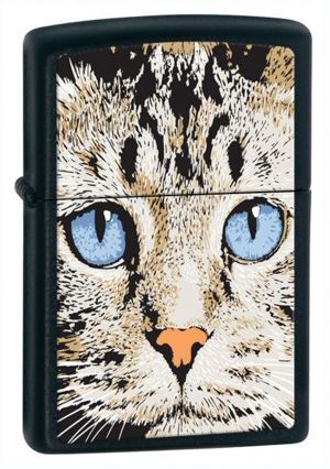 Bật lửa Zippo Blue Eyed Cat