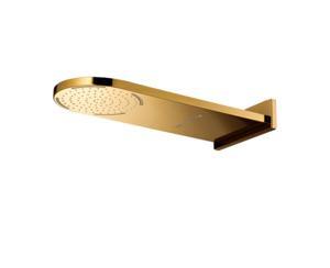 Bát sen Cotto Z23#GR