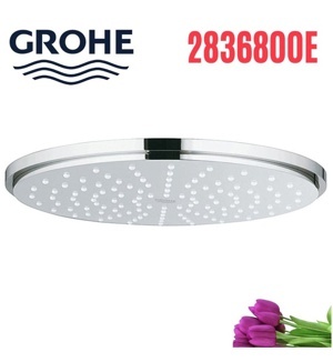 Bát sen gắn trần nóng lạnh Grohe 2836800E