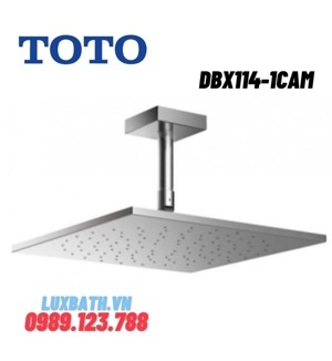 Bát sen gắn trần Toto DBX114-1CAM