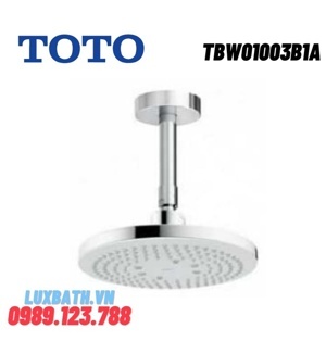 Bát sen gắn trần Toto TBW01003B1A