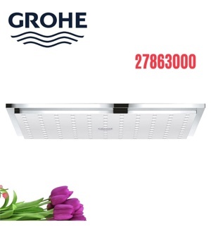 Bát sen Grohe 27863000