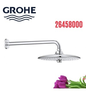 Bát sen Grohe Euphoria 26458000