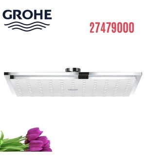 Bát sen tắm Grohe 27479000