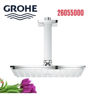 Bát sen + thanh treo sen Grohe 26055000