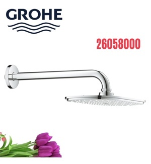 Bát sen + thanh treo sen Grohe 26058000