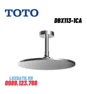 Bát sen Toto DBX113-1CA