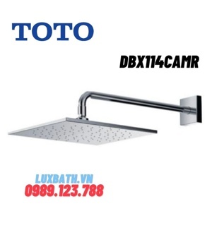 Bát sen TOTO DBX114CAMR