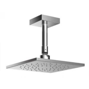 Bát sen TOTO DBX115-1CAM