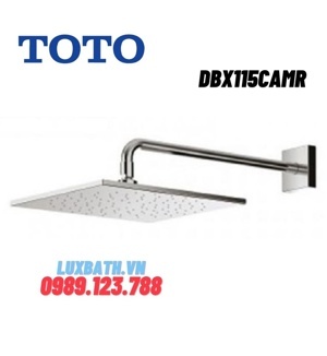 Bát sen TOTO DBX115CAMR