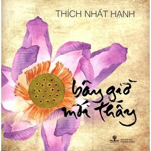 Bây giờ mới thấy