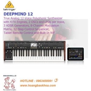 Behringer Deepmind 12