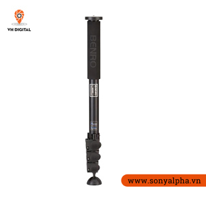 Chân máy ảnh Monopod Benro A38T - 161.0cm / Đen