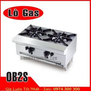 Bếp âu 2 họng dùng gas Berjaya OB2S