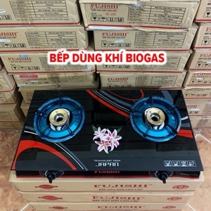 Bếp biogas chén đồng Fujishi FJ-BG3