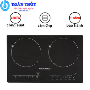 Bếp Điện Quang Saijo Denki SD-6900