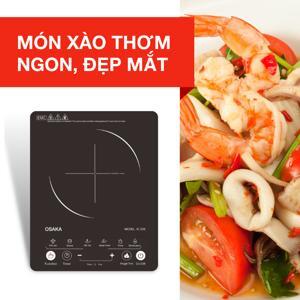 Bếp điện từ đơn Osaka IC-206