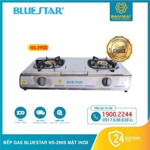 Bếp đôi Bluestar NS-290S