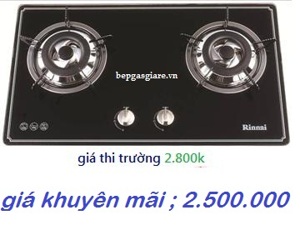 Bếp gas âm kính Rinnai RVB-2BGB