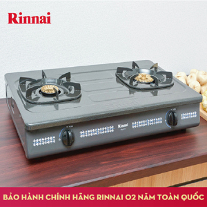 Bếp gas Rinnai RV367G (RV-367G) - Bếp đôi