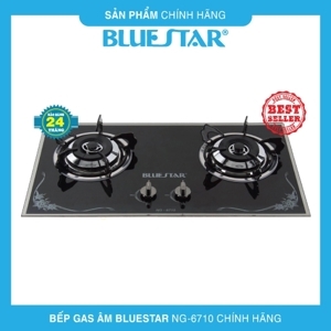 Bếp gas âm Bluestar NG-6710