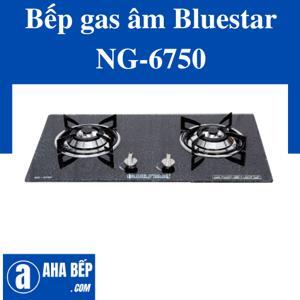 Bếp gas âm Bluestar NG-6750