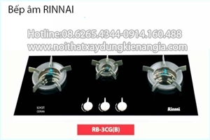 Bếp gas âm Rinnai RB-3CG(B)