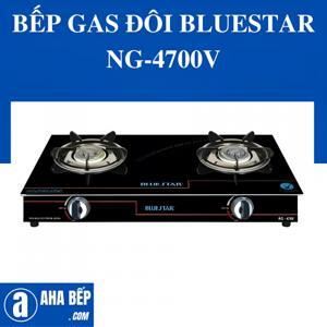 Bếp gas đôi Bluestar NG-4700V