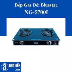 Bếp gas đôi Bluestar NG-5700 I