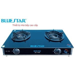 Bếp gas đôi Bluestar NG-5700 I