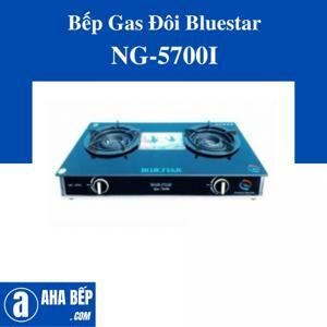 Bếp gas đôi Bluestar NG-5700 I