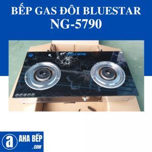 Bếp gas đôi Bluestar NG-5790