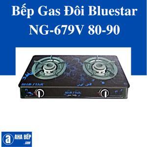 Bếp gas đôi Bluestar NG-679V