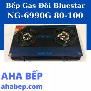 Bếp gas đôi Bluestar NG-6990G 80-100